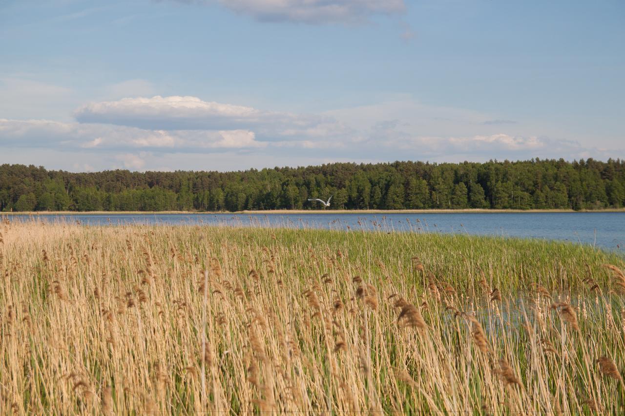 Duck Lake Villa Polotsk Exteriör bild